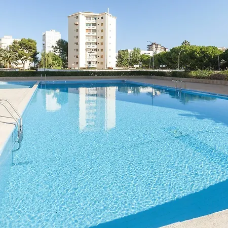 Meraki * Gandia